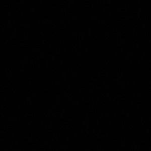 Meet your Posher, Tamara